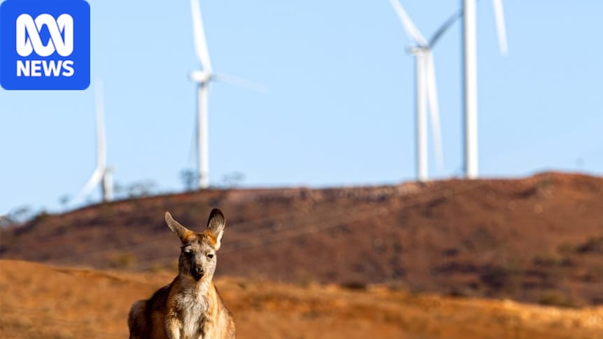As clean energy investment faces headwinds, superannuation could help fill the funding gap