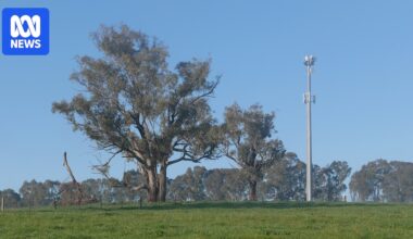 Consumer advocates intensify calls for mandatory domestic mobile roaming
