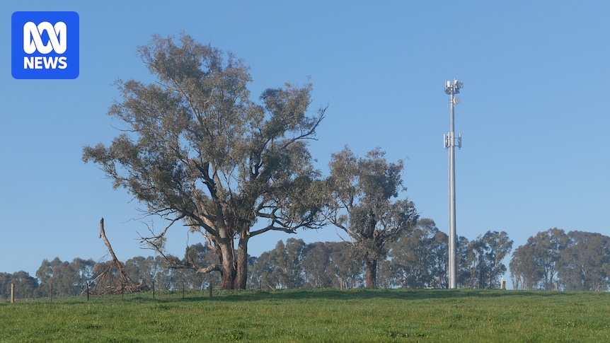 Consumer advocates intensify calls for mandatory domestic mobile roaming