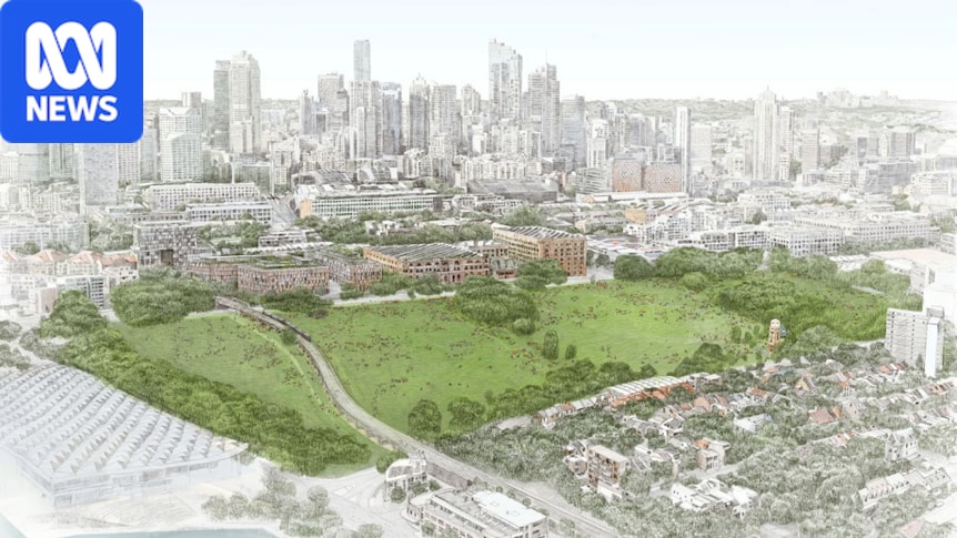 Wentworth Park greyhound racing end brought forward as inner Sydney 'backyard' plan fast-tracked