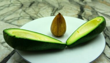 avocado