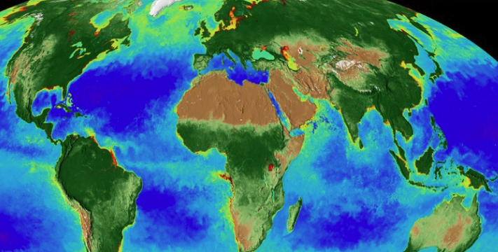 Simulations Suggest When The Last Plants on Earth Will Die