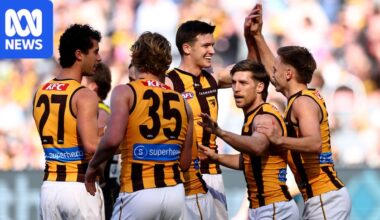 AFL round 19 live updates: Richmond vs Hawthorn, Gold Coast vs Western Bulldogs, Essendon vs GWS — blog, scores and stats