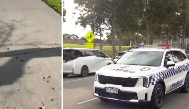 Schoolboy in emergency surgery after violent machete attack in Melbourne's southeast
