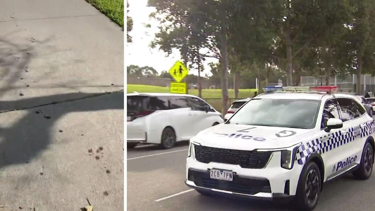 Schoolboy in emergency surgery after violent machete attack in Melbourne's southeast