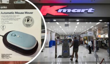 Kmart’s $20 Automatic Mouse Mover divides social media and sparks heated WFH debate