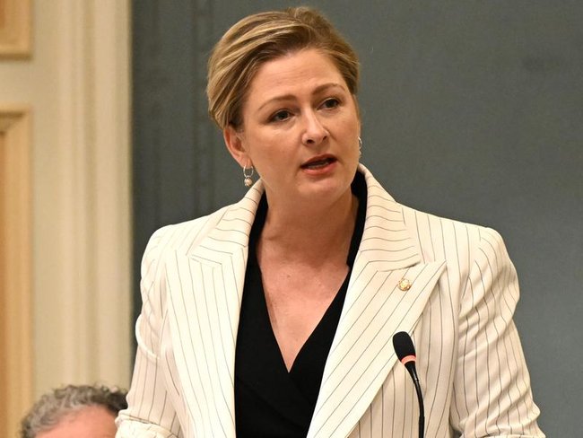 Amanda Camm confirmed three instances of kids staying in government buildings. (Darren England/AAP PHOTOS)