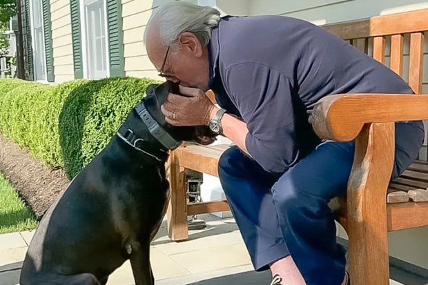 Nelson Peltz with rescue dog Houdini