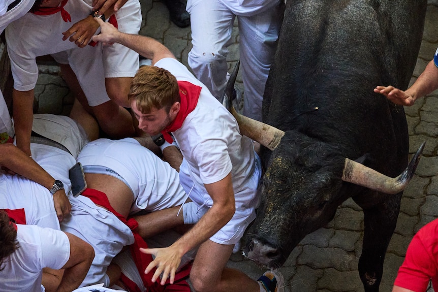 A runner, dressed in a white and red, is seen right next to a bull with horns, in a crowded cobbled street.