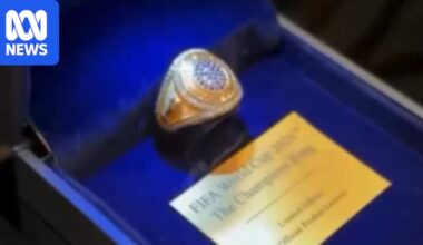 World Cup winners Spain will receive championship rings, but almost 2,000 of them will be bought by the public