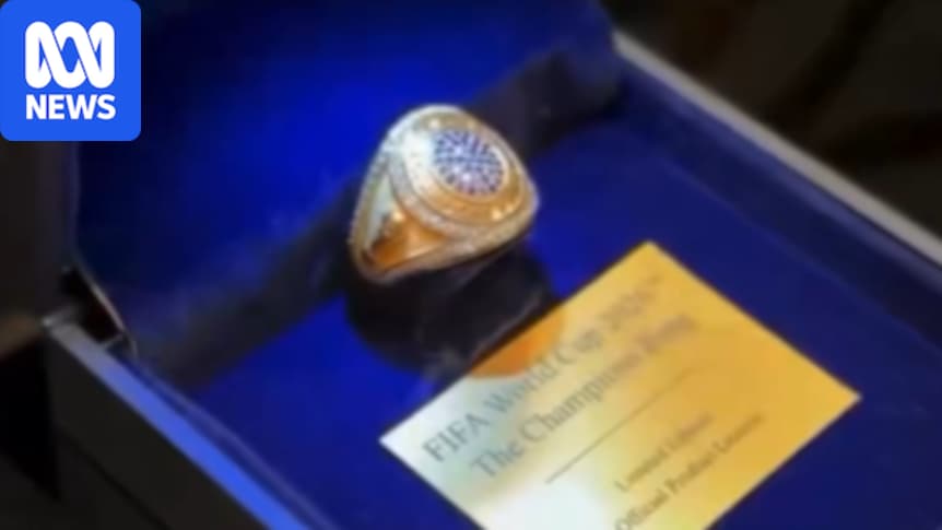 World Cup winners Spain will receive championship rings, but almost 2,000 of them will be bought by the public