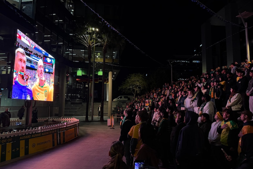 Large group of seated fans in an outdoor public space watching a large television broadcast of the world cup