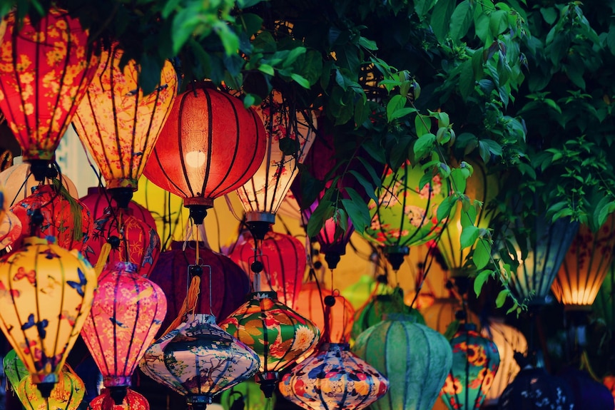 Multi-coloured paper lanterns shine brightly beside a tree.