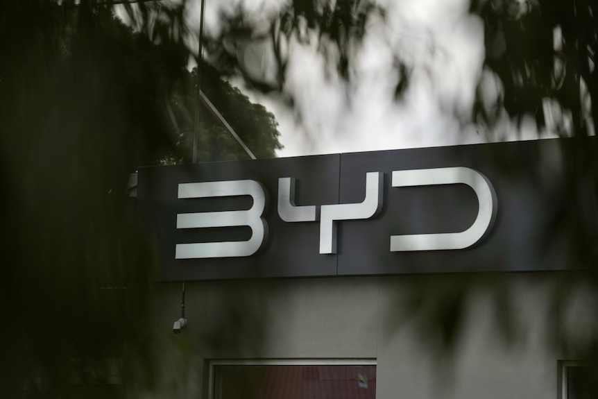 Close up of the BYD sign with tree branches in the foreground.