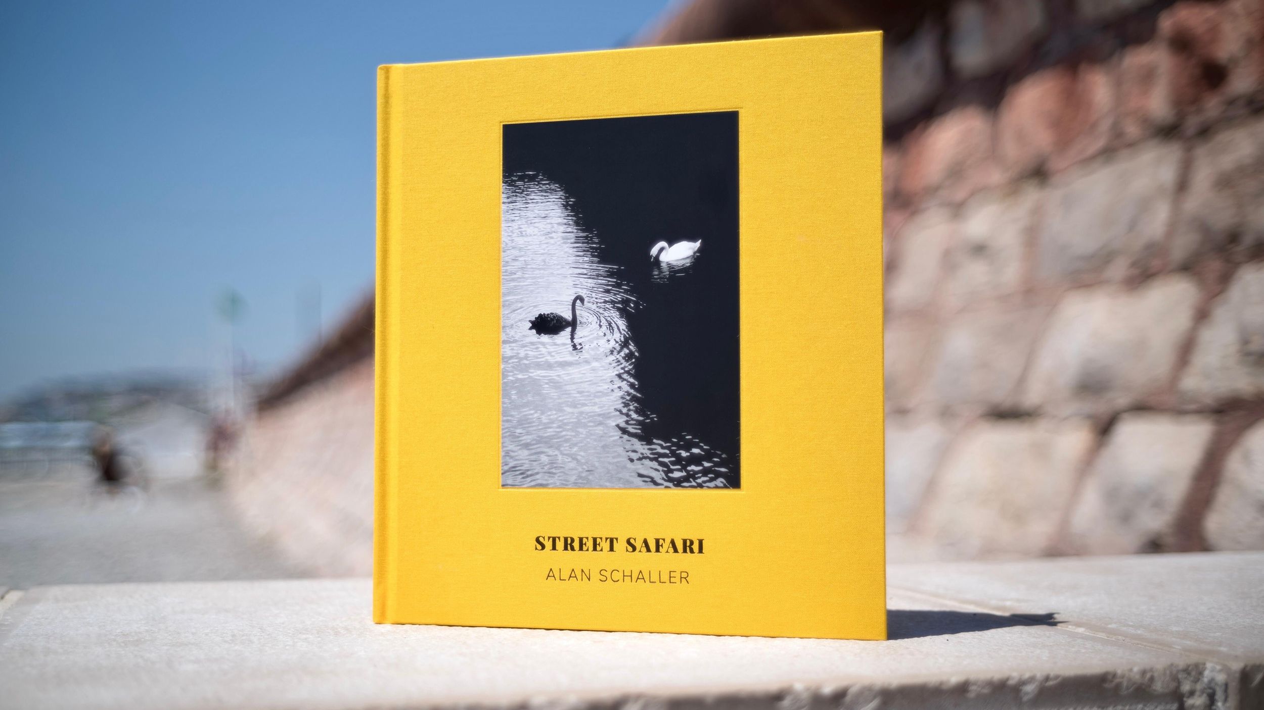 The yellow hardback cover of Street Safari by Alan Schaller stands on a stone ledge, its window showing a black and a white swan on a river.