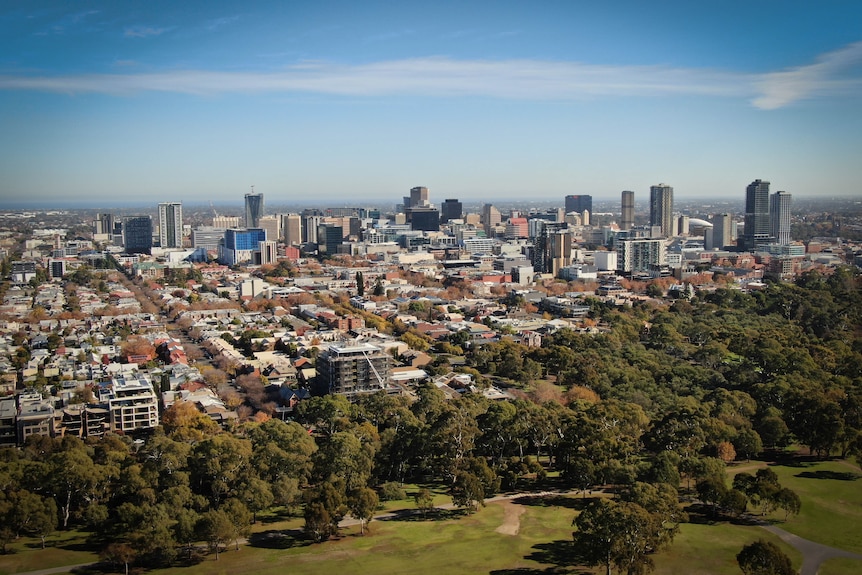 A city within a park viewed from the air