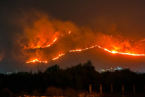 Wildfires broke out in several parts of the Italian island of Sicily this week.