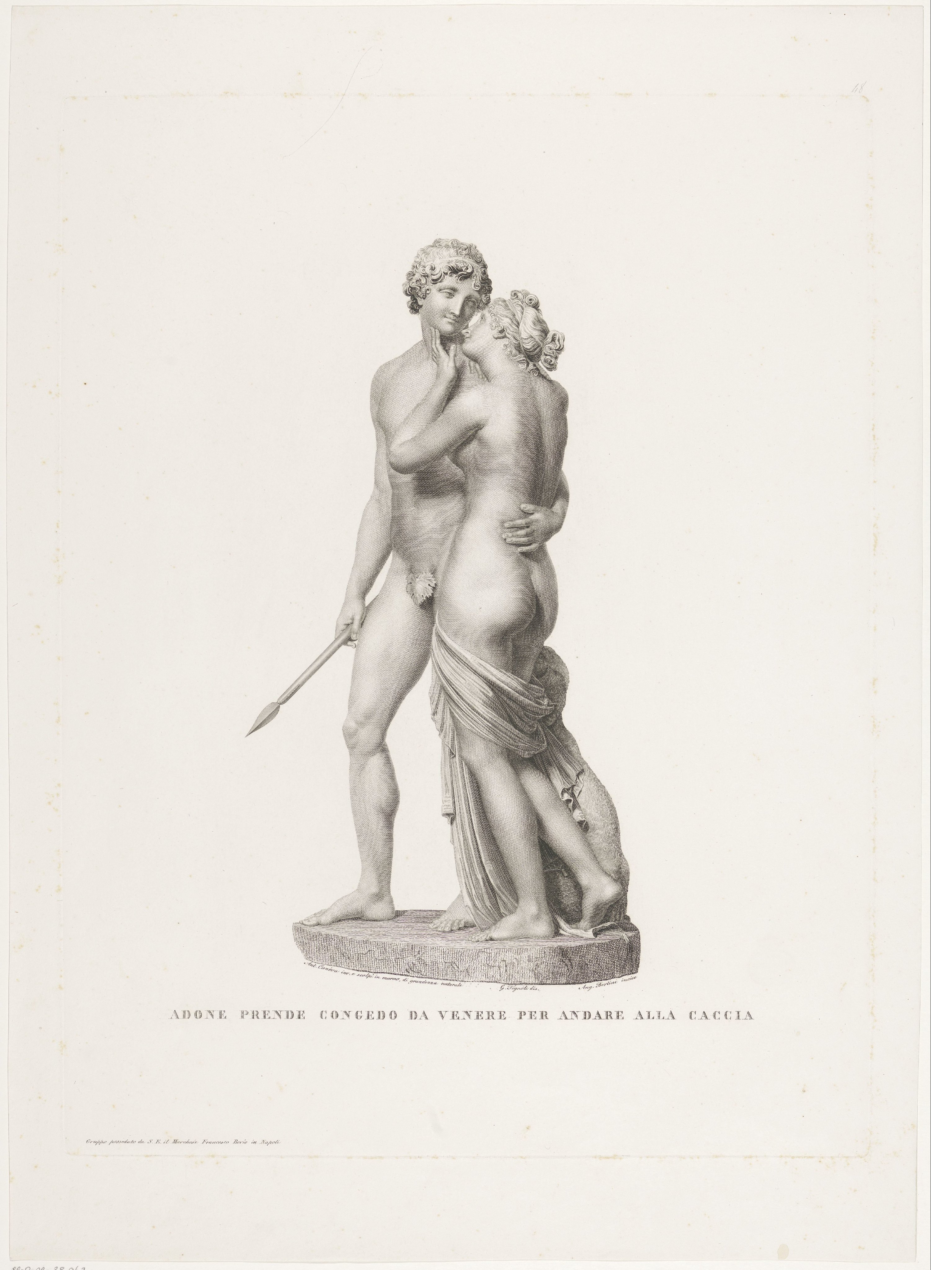 canova venus adonis
