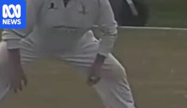 Amateur cricket video goes viral after claims slip fielder clicked to imitate bat on ball