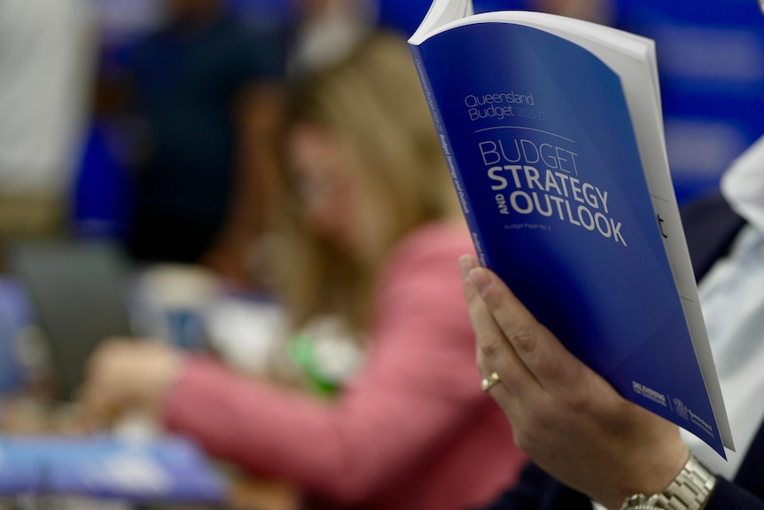 hand holding a budget book