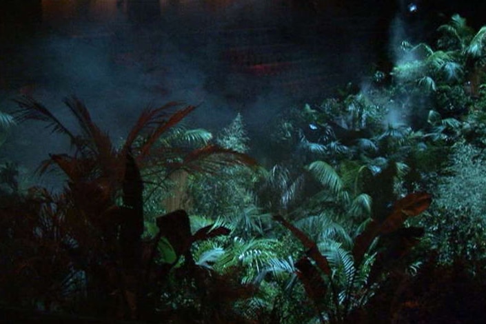 A TV still of plants arranged in a darkened room. The plants are overgrown and seem to cover the floor and chairs.
