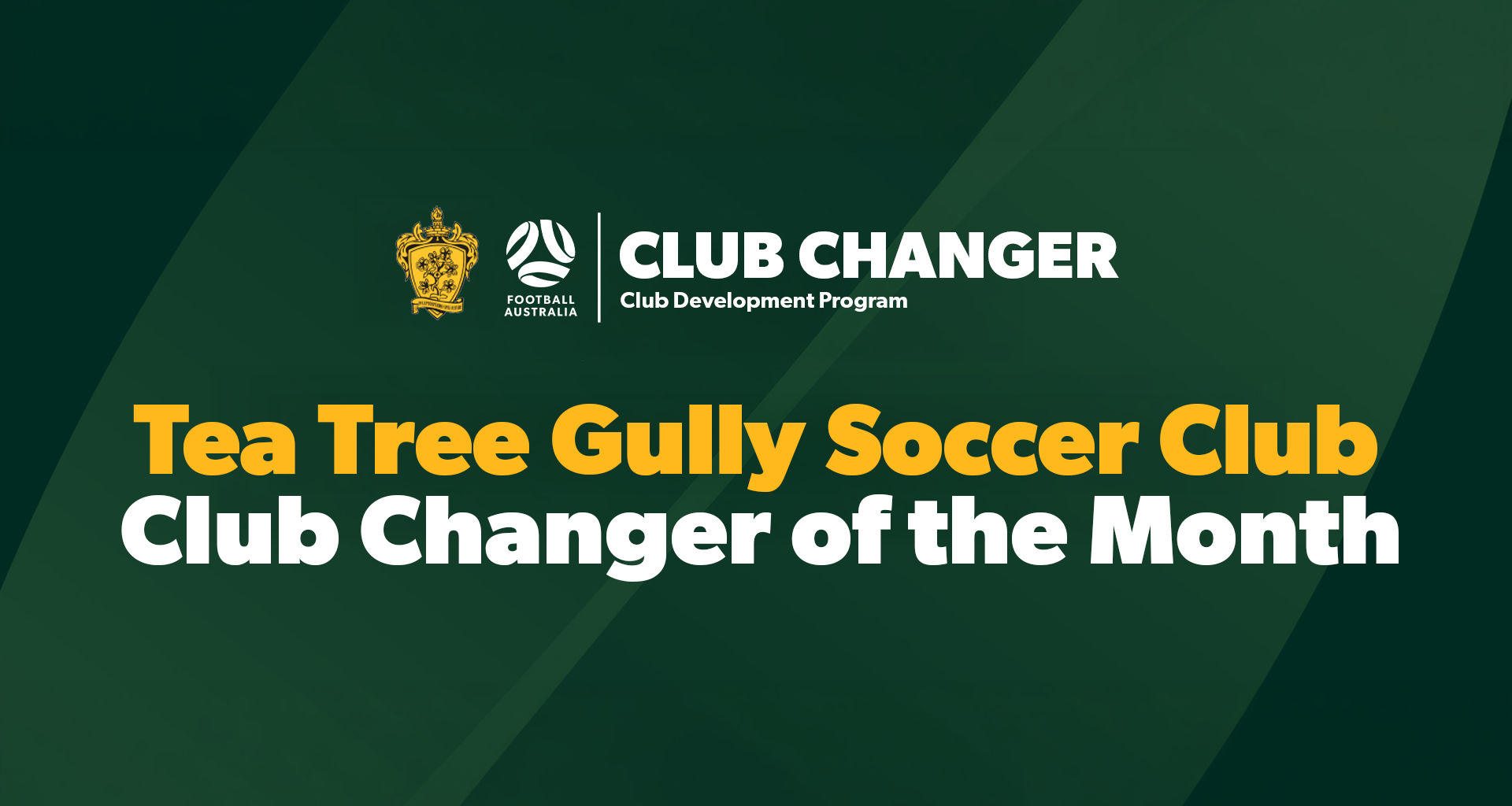 Tea Tree Gully City Soccer Club Building for the Future