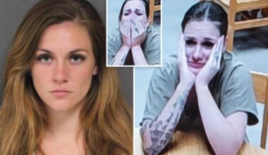 NJ babysitter blames victim in tearful first court appearance for horrifying child sex charges
