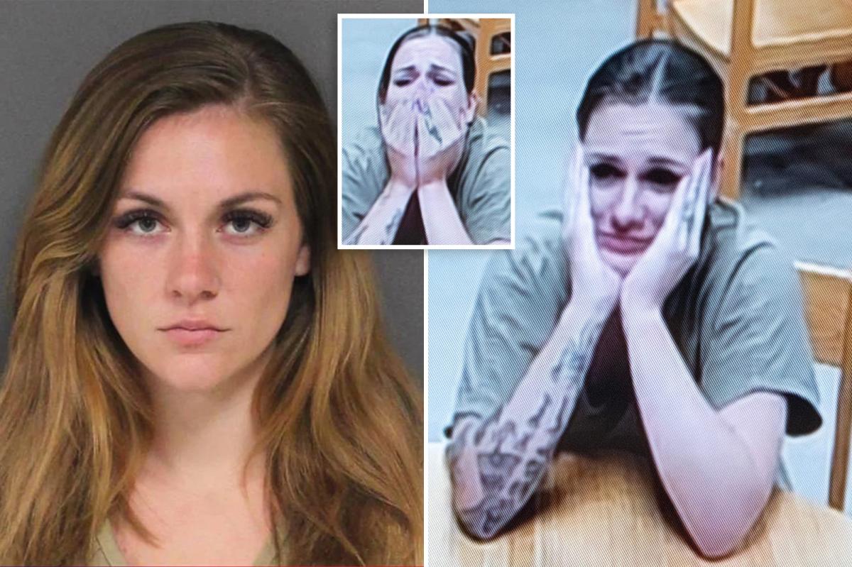NJ babysitter blames victim in tearful first court appearance for horrifying child sex charges