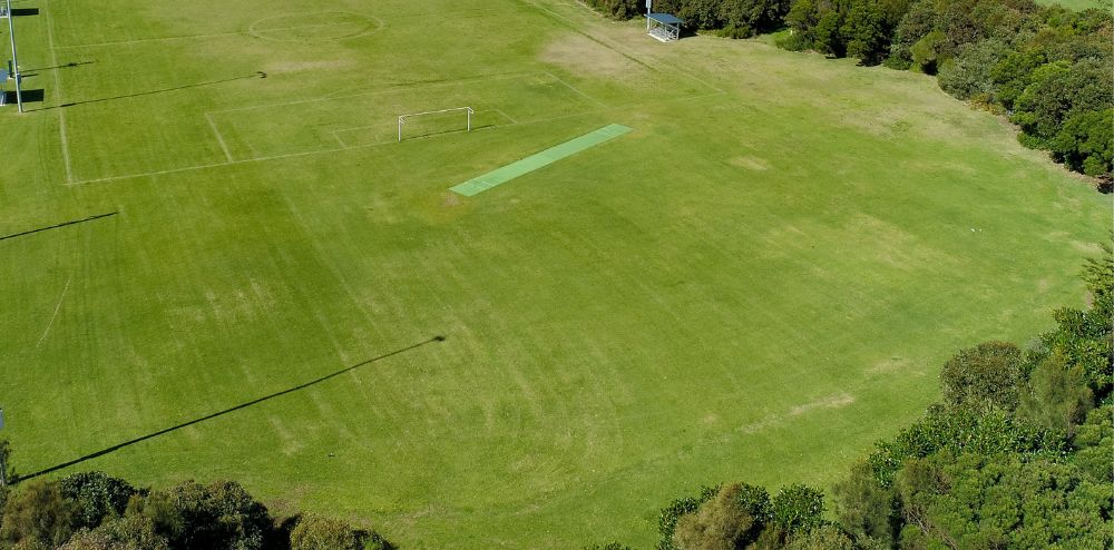 field with cricket pitch