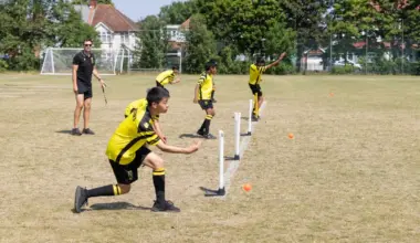 Cricket Update #10
