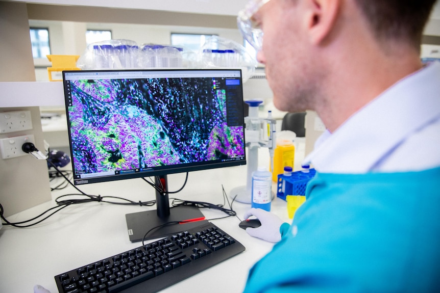 mab in lab looking at computer screen