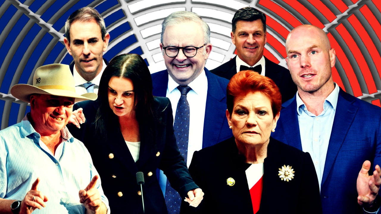 REVEALED: Australia’s most and least popular politicians as Albanese tumbles after ‘melons’ controversy