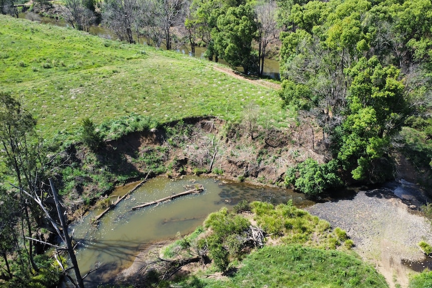 Picture shows a creek with two fallen logs stuck below a creek bank which has fallen away during bad flooding.