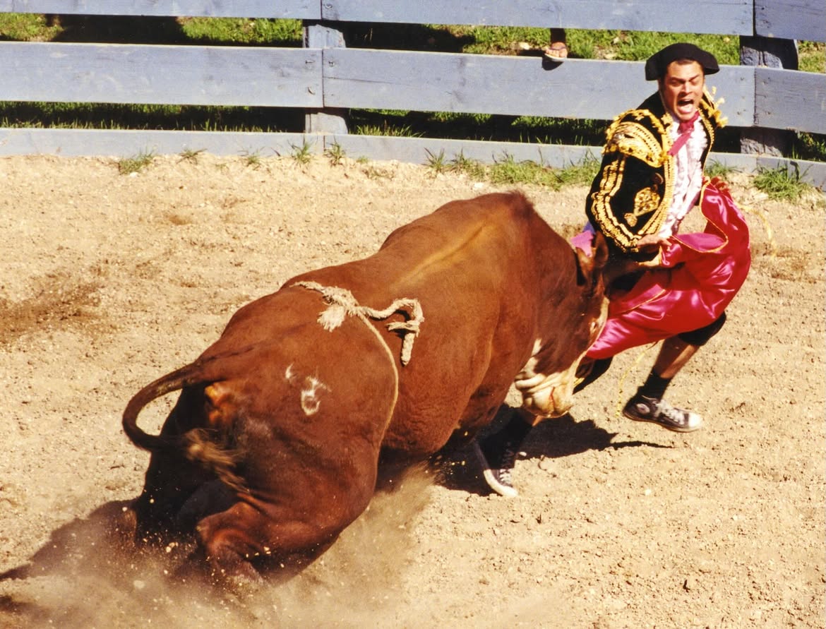 A bull gores a man dressed as a matador