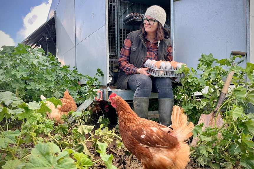 A woman sits in the back of a van looking at her hens in a pasture.