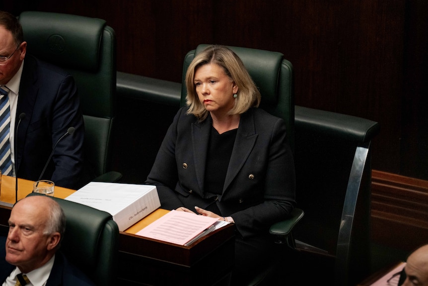 Woman dressed formally sits in a green chair in parliment