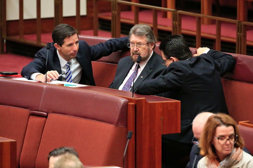 Simon Birmingham (left) and Nick Xenophon surround Derryn Hinch in the Senate in 2017.