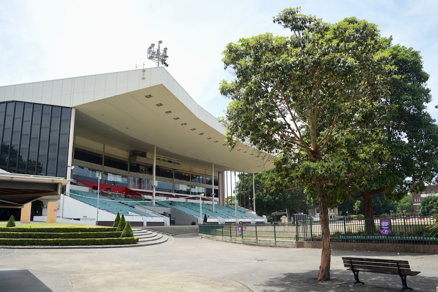 Wentworth Park Greyhound track in Glebe