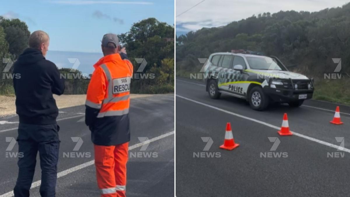 SA Police launch urgent search after bodies found near Port MacDonnell coastline