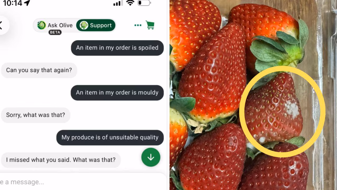Woolworths chatbot Olive chats with customer seeking mouldy berry refund