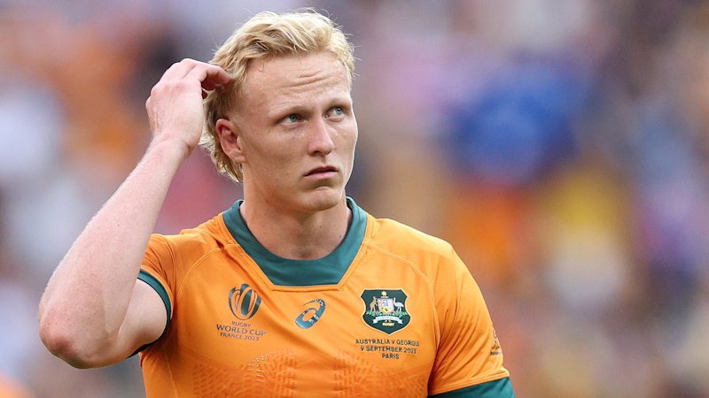 Wallabies vs France: Carter Gordon and Ryan Lonergan injury status ahead of Brisbane Nations Championships Test