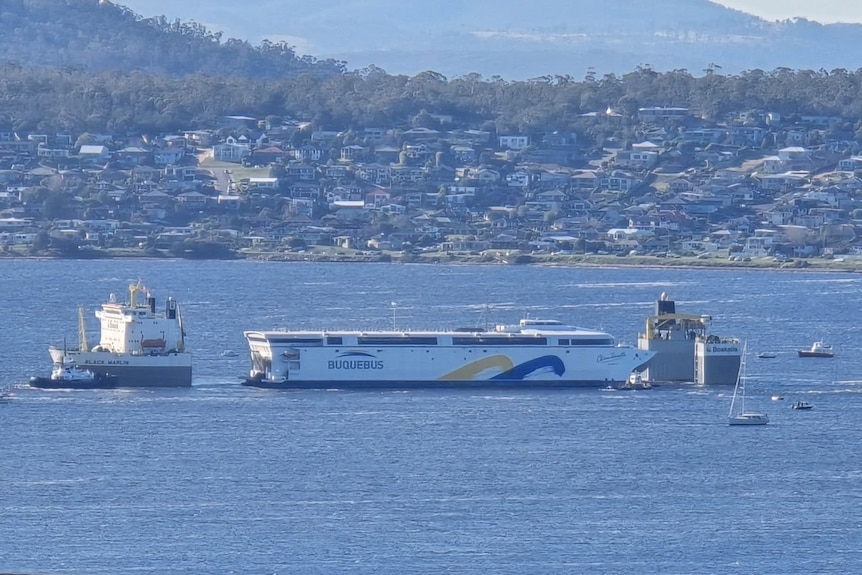 Large ferry being manoeuvred onto a larger transport ship in a river.