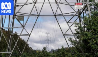 Closure of Tasmania's major industrial companies could cause household power bills to rise