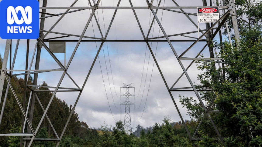 Closure of Tasmania's major industrial companies could cause household power bills to rise