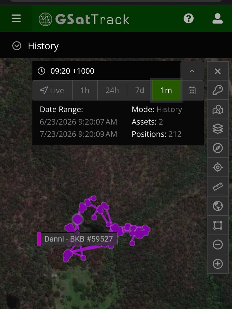 A screenshot of an app tracking koala movements as a purple line on a map.