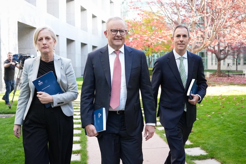 Albanese, Gallagher and Chalmers walk in the parliamentary courtyard.