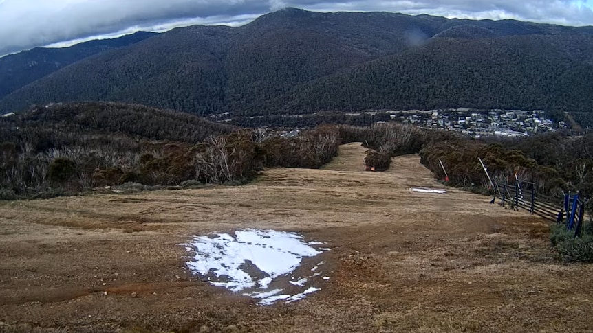 Snow blankets Thredbo on Thursday when just 24 hours prior, the slopes were still green.