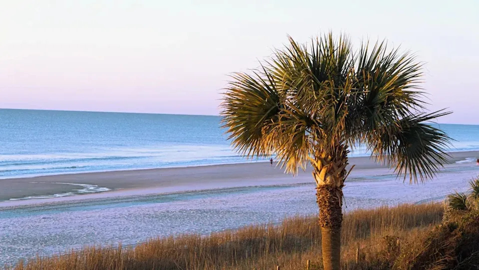 South Carolina: Coastal Charm Without the Florida Price Tag (Image Credits: Unsplash)