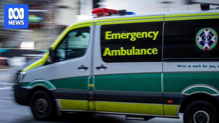 SA coroner calls for changes after man died while paramedic waited outside