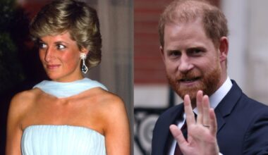 'Hopelessly misguided': Princess Diana's friend gives brutal two-word assessment of Prince Harry as she accuses the royal of doing the unthinkable